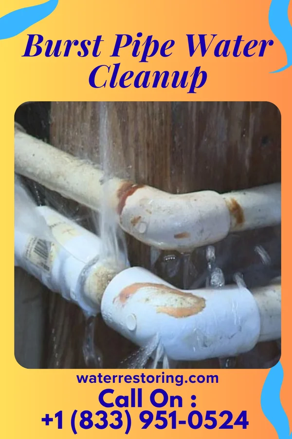 Burst Pipe Water Cleanup in Hide-A-Way Lake, MS
