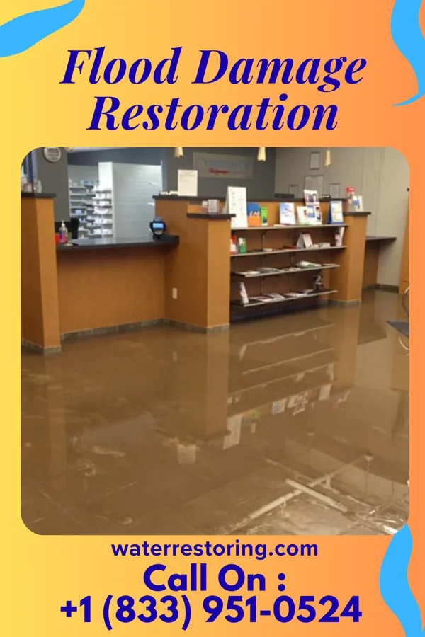 Flood Damage Restoration in Hide-A-Way Lake, MS