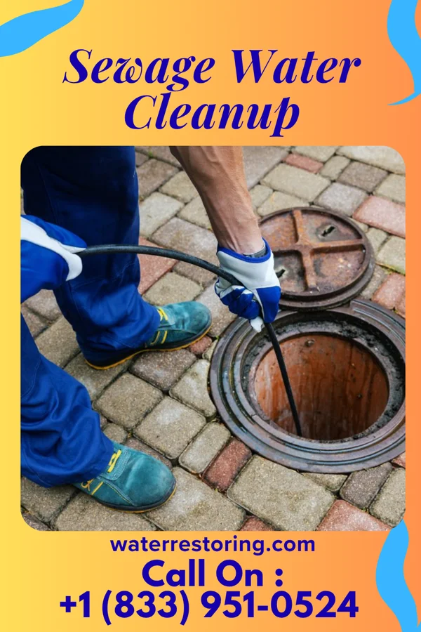 Sewage Water Cleanup in Hide-A-Way Lake, MS
