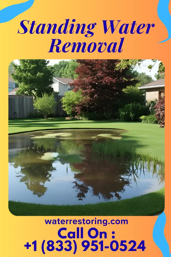 Standing Water Removal in Hide-A-Way Lake, MS